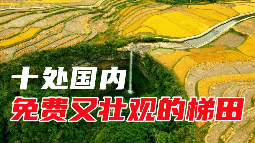 2025最新免费资料大全和商家互砸西瓜丢荔枝与
